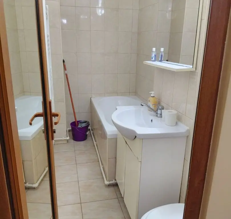 De inchiriat apartament cu o camera, parter, Mazepa 1, 260 euro
