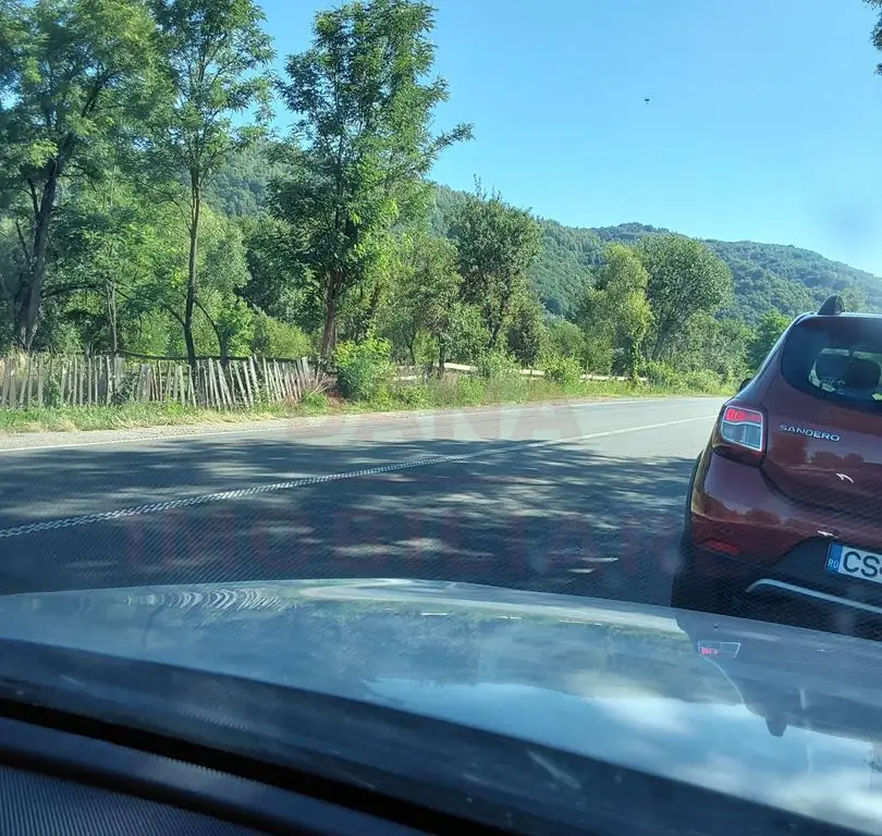 TEREN INTRAVILAN ZĂVOI\ZONA VALEA BISTREI, JUD.C-S