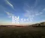 Teren Intravilan I 16500 MP | Priveliște Panoramică | Turnișor