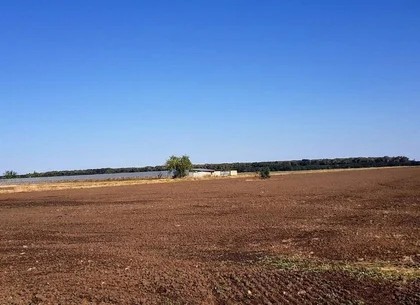 Teren intravilan de vânzare Brănești – DN3, deschidere 60 ml investie