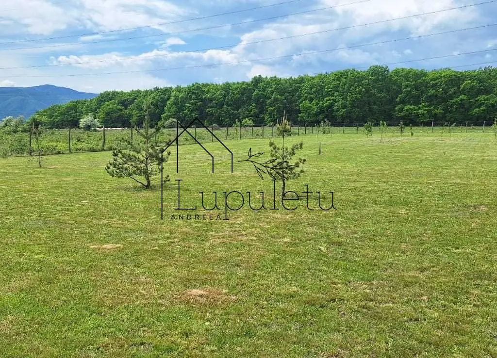 Teren Extravilan | 2.000 MPU | Intabulat | Zonă liniștită