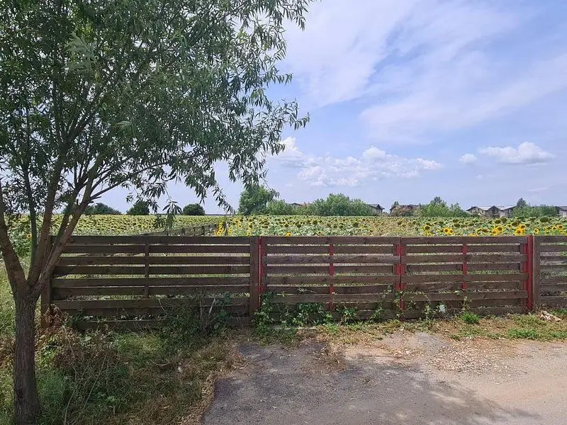 Balotesti str. Amurgului teren 5000 mp