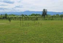 Teren Extravilan | 2.000 MPU | Intabulat | Zonă liniștită