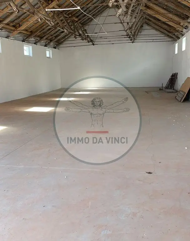 Hală Nouă 250 mp – Str. Depozitelor 56, Satu Mare