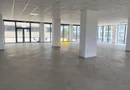 Spatiu comercial, Cartier Dambul Rotund, Lombului, Corneliu Coposu.