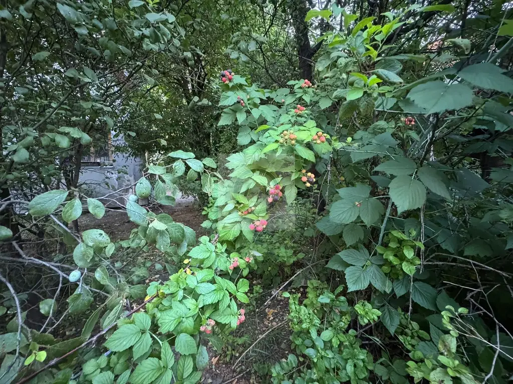 Teren și casă de vânzare în Miercurea Ciuc (central, strada Leliceni)
