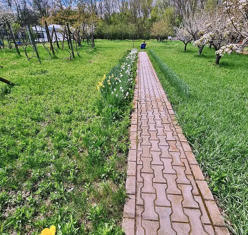 Buftea Centru – Teren 1807 mp + 2 case – Direct proprietar