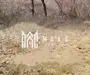 Teren | Intravilan | 1148 MP | Marginimea Sibiului