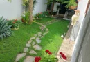 COTROCENI - Cuibușorul de nebunii al pictorului Zamfir DUMITRESCU