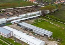 Hale depozitare/producție 2.000 mp si 10.000 mp teren în Pecica