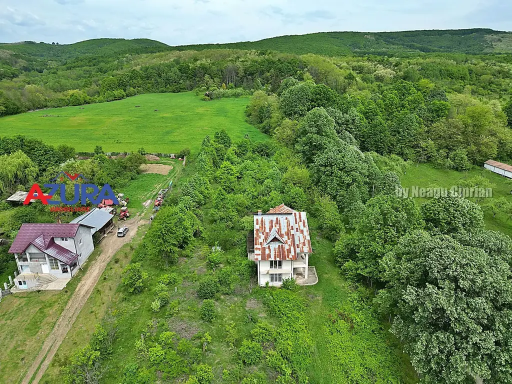 AZURA Imobiliare - Budeasa, Teren 5.069 mp, Casa BONUS