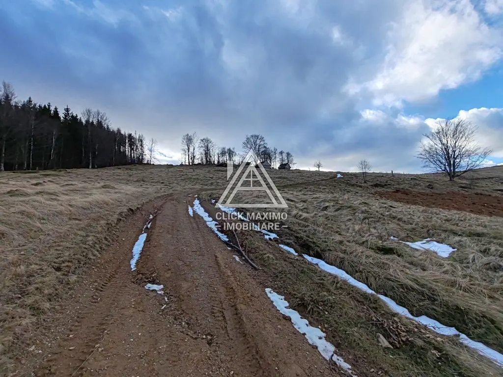 19.5 Hectare în Zona Turistică Montană – Bulz, Bihor