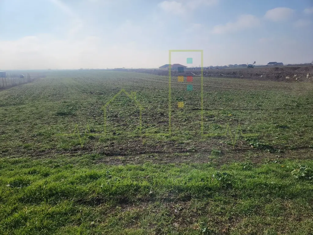 Teren agricol in intravilanul comunei Sacalaz.