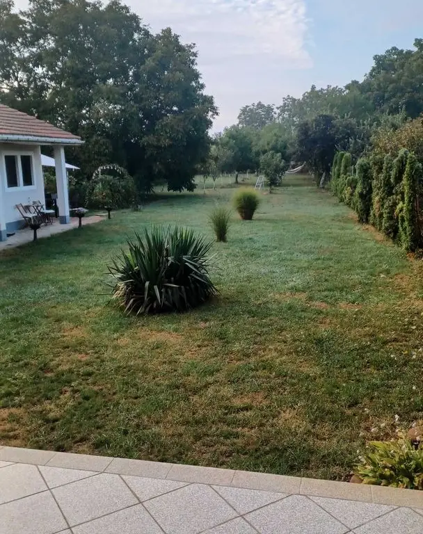 BRASADAS vinde casa in zona Careiului.