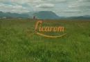 Teren agricol 4.8 Ha între Râșnov și Bran F.S.la DN73