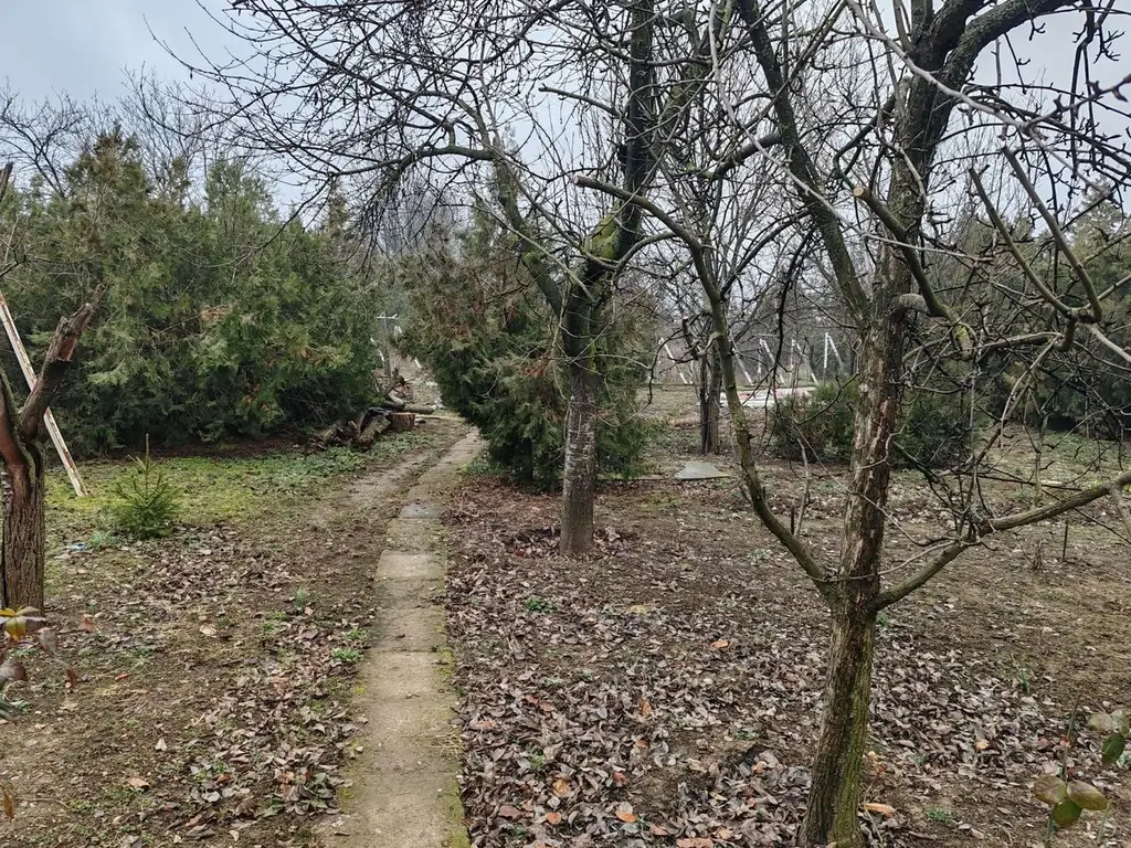Teren 2.600 mp, utilități, Str. Merișor – Giurgiu