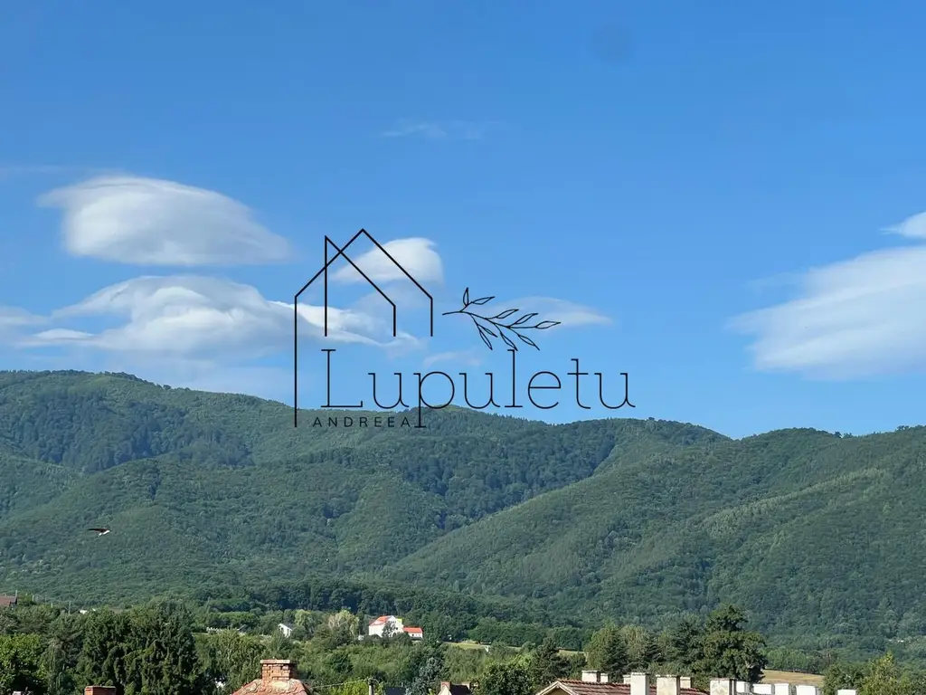 Apartament 2 Camere | 40 MPU | Zonă Centrală Cisnădie