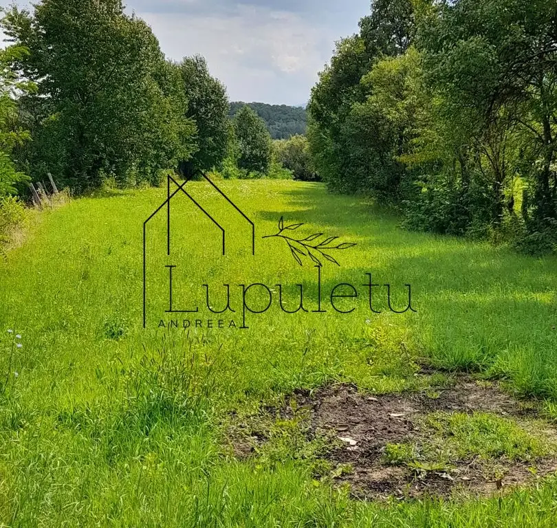 Teren Intravilan | 1500 MPU | Tocile, Comuna Sadu