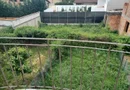 Casa insiruita, 2 dormitoare, garaj, Sanmartin. 120 000 E. Comision 0.