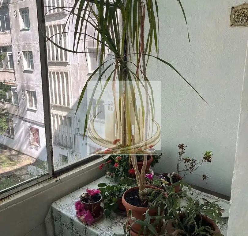 🏡Ap Sagului 3 camere