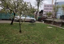 Casă de închiriat 3 camere + grădină, 2 locuri de parcare,