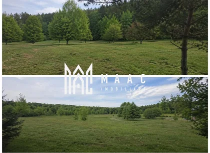 Teren extravilan 2000 mp | Rășinari | livadă, lângă Cisnădioara