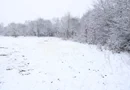 Super oferta I teren intravilan de vanzare in Cisnadie