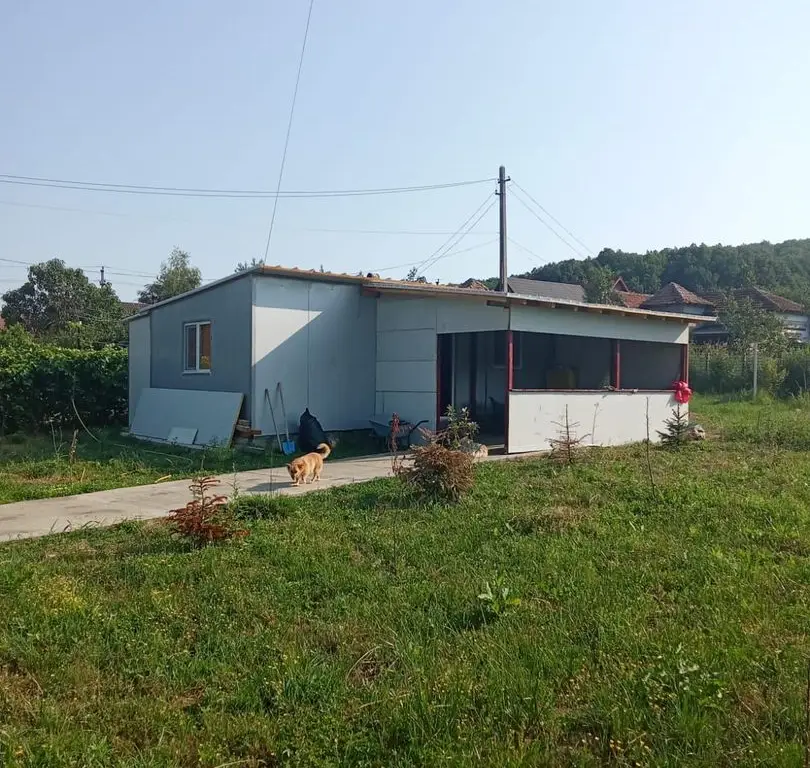 Proprietate deosebită de vânzare – Drăganu, Argeș