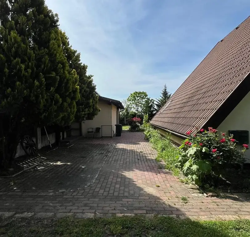 Casă elegantă, spațioasă, ideală pentru familie – Sanmihaiu Roman