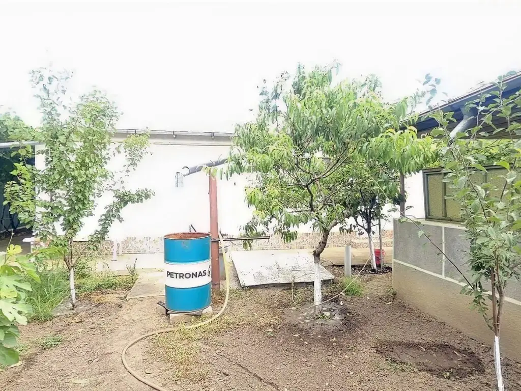 Casa la sol cu teren 1055 mp si livada - Vanatori, Galati