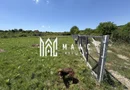 Teren intravilan 500 mp | Daia Nouă, Sibiu | acces facil, utilități în apropiere