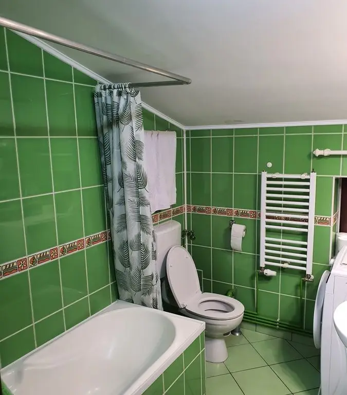 BRASADAS închiriază ap 2 cam la MANSARDA zona Dorobanti.
