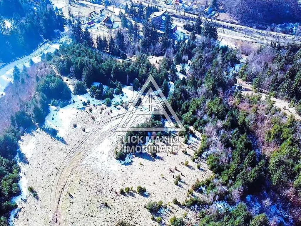 Teren 8 ha cu 15 izvoare minerale, lângă Câmpulung Argeș