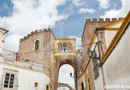 Se vinde Palatul Mesquita Pimentel