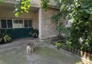 De vanzare casa ultracentral, 220.000 euro