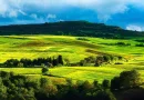 1.500 ha Teren agricol și pășune (Vestul României)