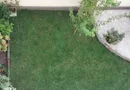 Casa cu mesteacan - DIRECT PROPRIETARI! - spectaculos toamna