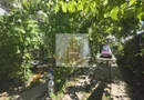 Casa individuala la pret de teren in Timisoara