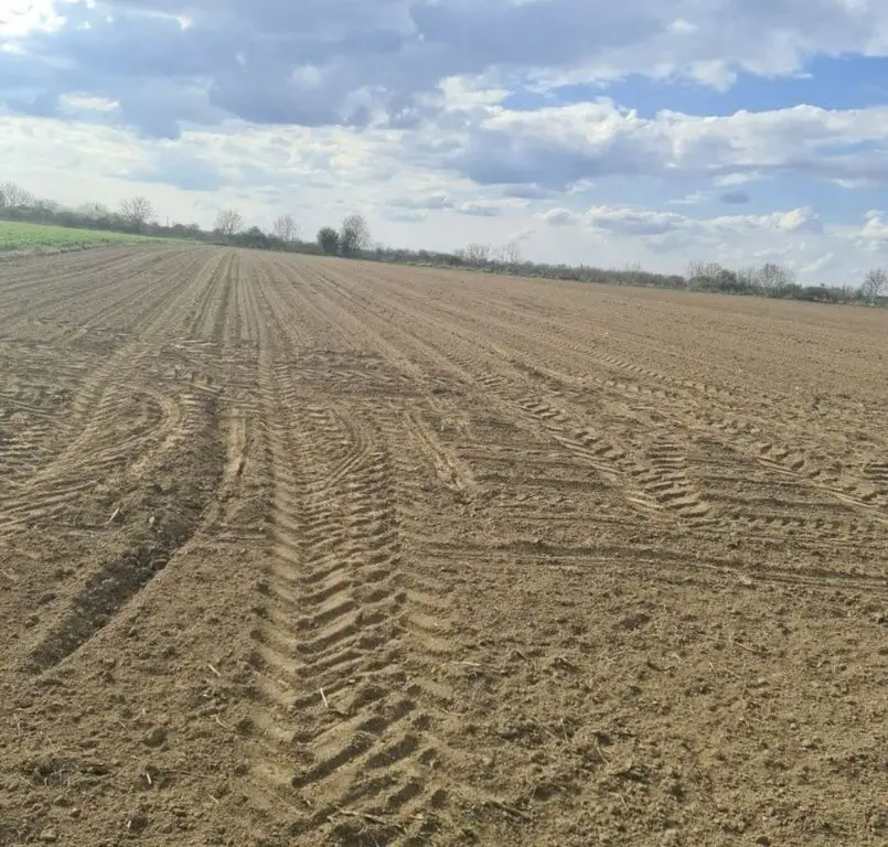 Vand teren extravilan in Martinesti