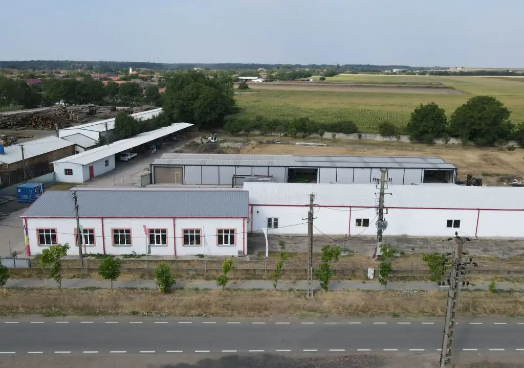 Hale depozitare/producție 2.000 mp si 10.000 mp teren în Pecica