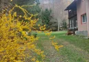 CASĂ DE VACANȚĂ 5 CAMERE,POINANA MĂRULUI, JUD.CARAȘ-SEVERIN