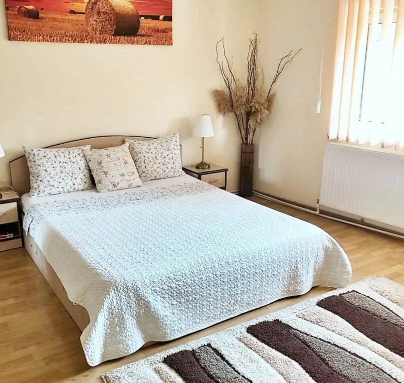 Vilă P+2 cu 4 Apartamente / Spațiu Comercial – PROPRIETAR