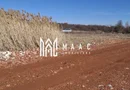 Teren Extravilan I 3400mp I Intabulat I Zona Dealul Daii