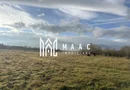 Teren cu potențial turistic I Cârțișoara I 3000 MP