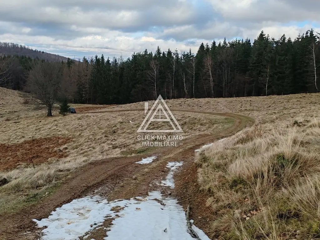 19.5 Hectare în Zona Turistică Montană – Bulz, Bihor