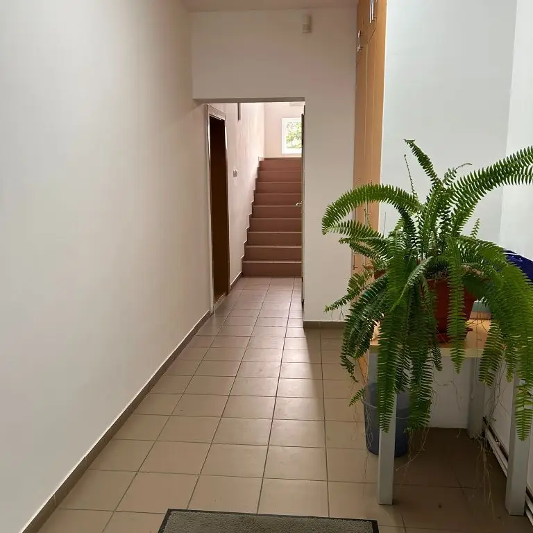 Casa cu mesteacan - DIRECT PROPRIETARI! - spectaculos toamna