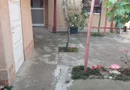 ageuropa.ro vinde casa in zona 14 Mai cu 3 cam. si teren aferent de 500mp.