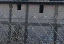 Vila de vanzare în magurele if