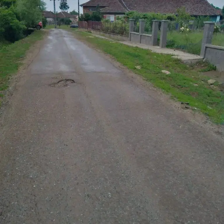 Ag EUROPA vinde teren intravilan cu toate utilitățile în Ardud.