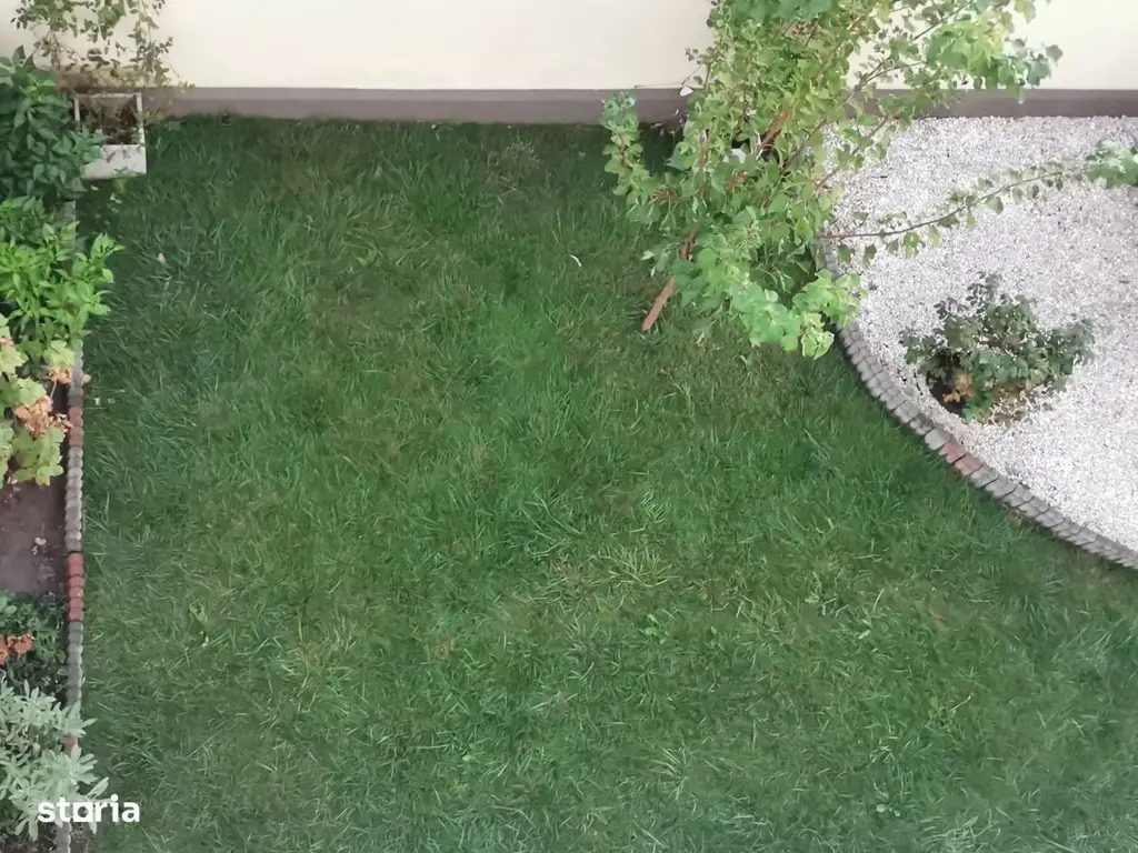 Casa cu mesteacan - DIRECT PROPRIETARI! - spectaculos toamna